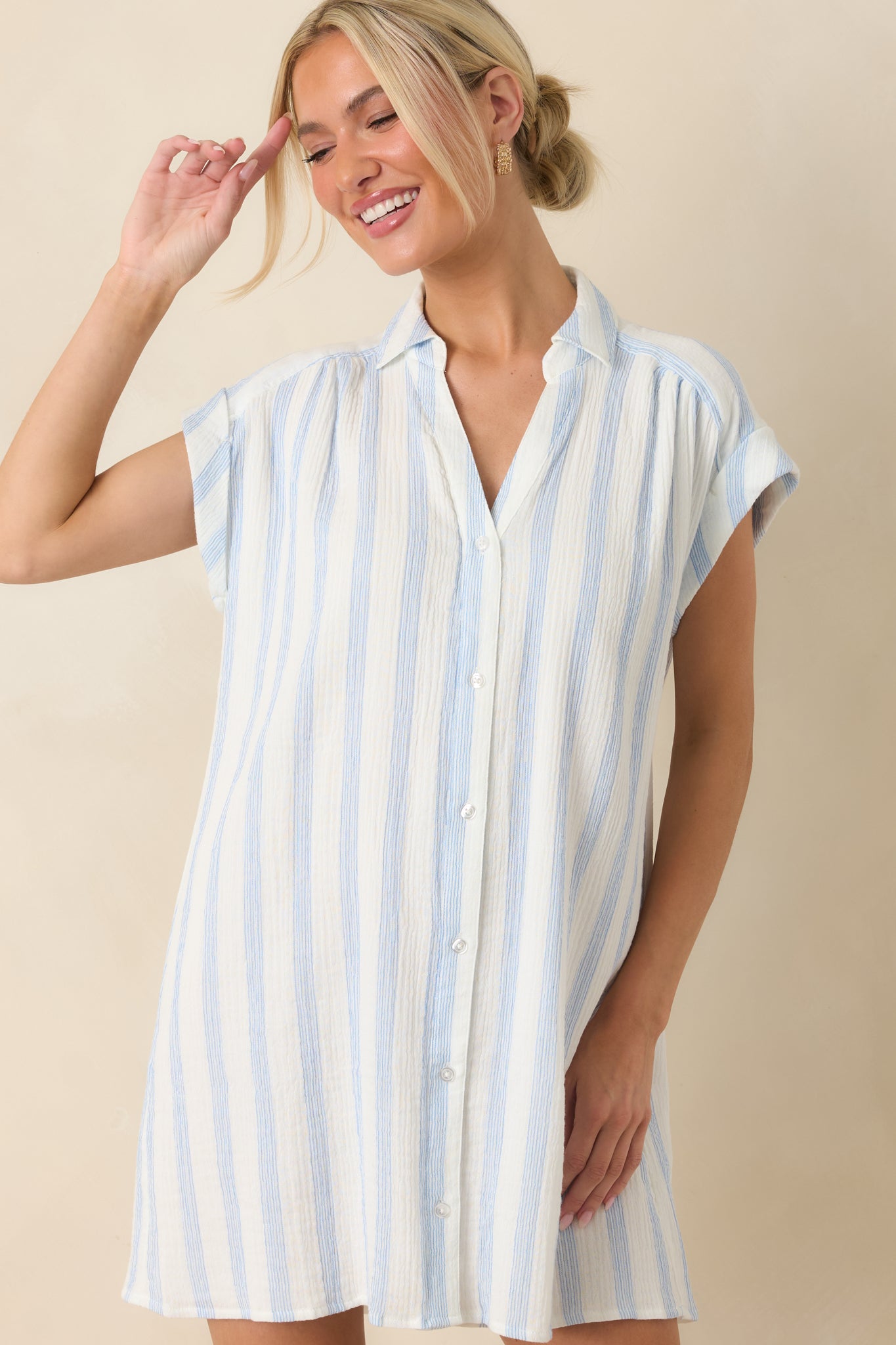 Z Supply Shellbound Blue Stripe Cotton Mini Dress
