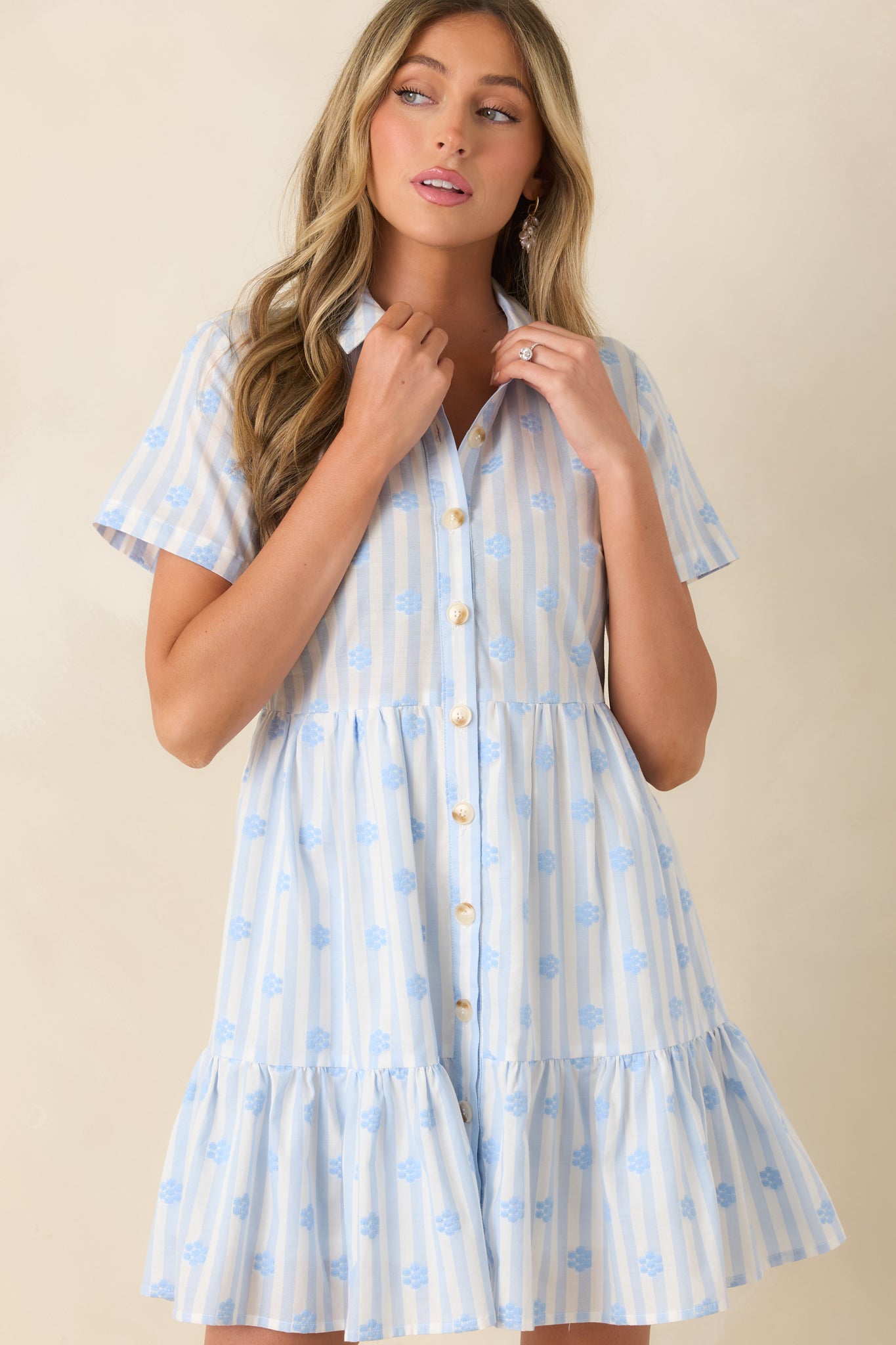 Blue stripe mini dress detail highlighting embroidered floral stitching, a structured collar, and button front closure.