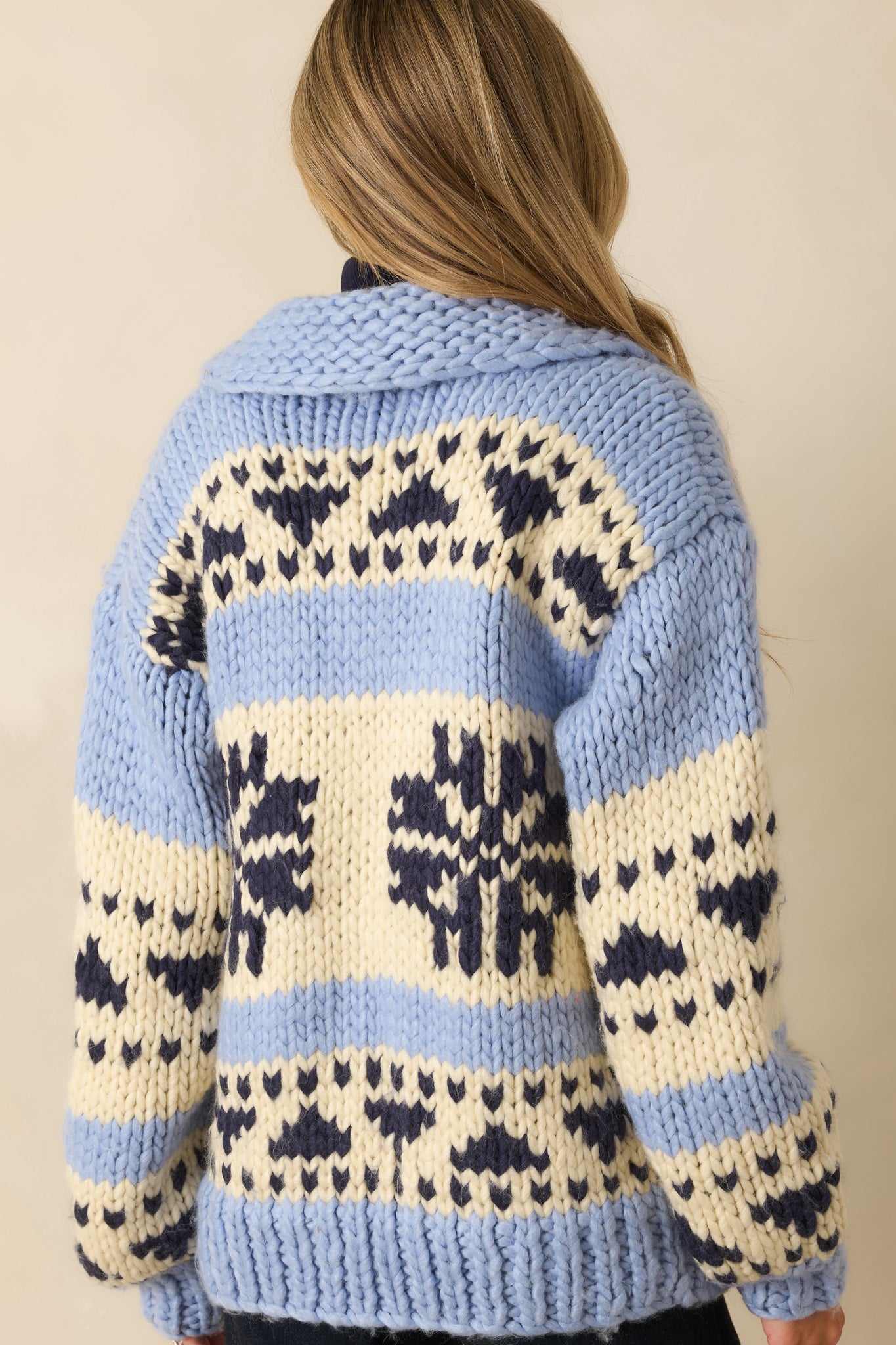 Rear view of colorblock chunky knit cardigan showing drop shoulders, long sleeves, and relaxed fit.