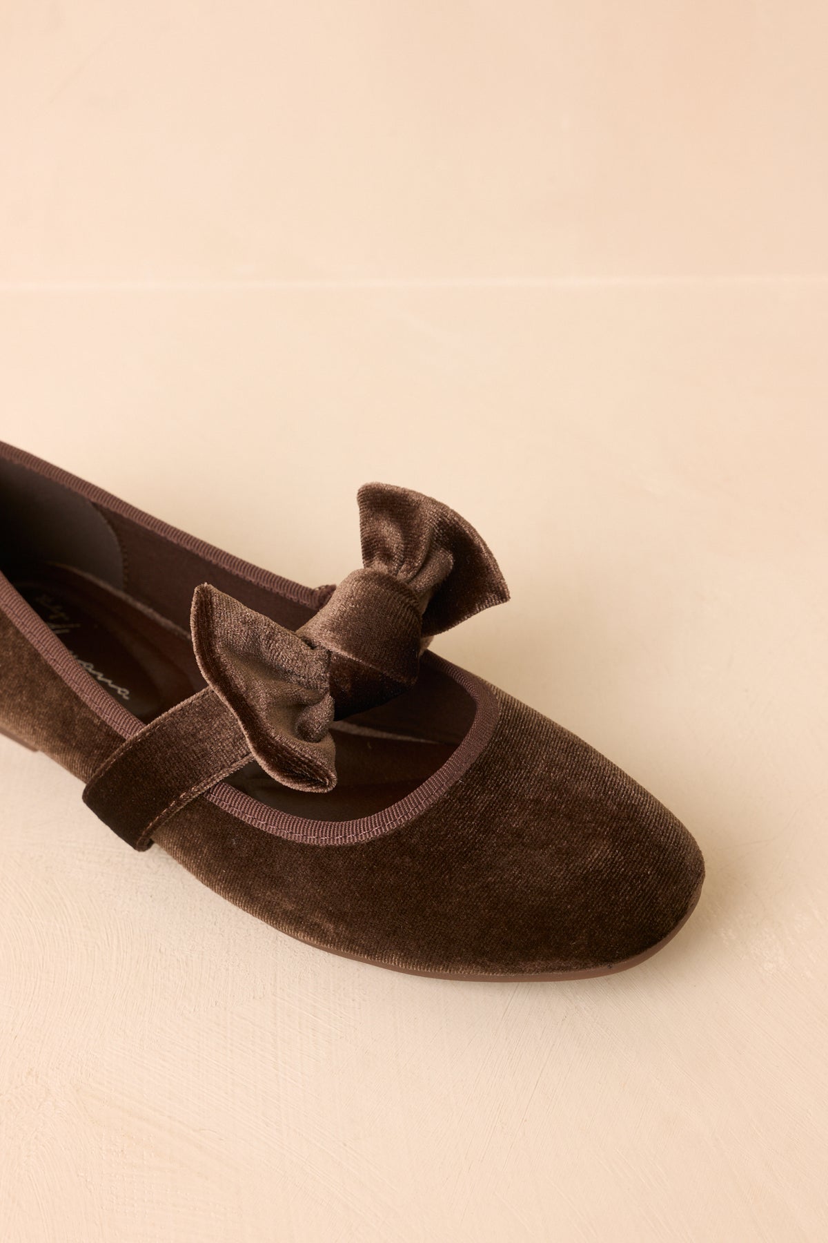 Rich brown flats displayed at an angled view, showcasing the statement bow strap and softly lustrous velvet finish.