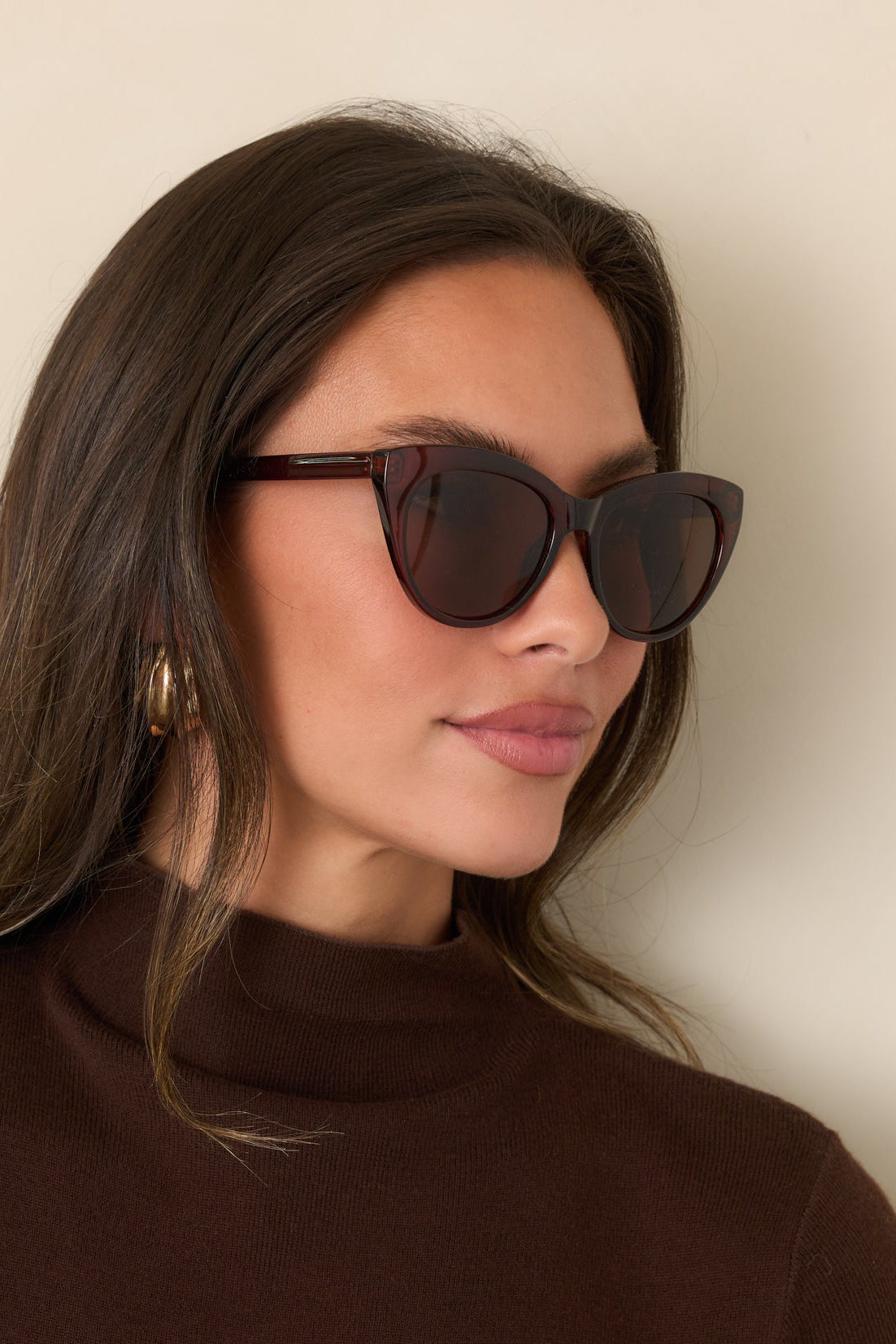Rounded cat-eye sunglasses showcase a brown frame with slender arms and solid-color lenses in a streamlined design.