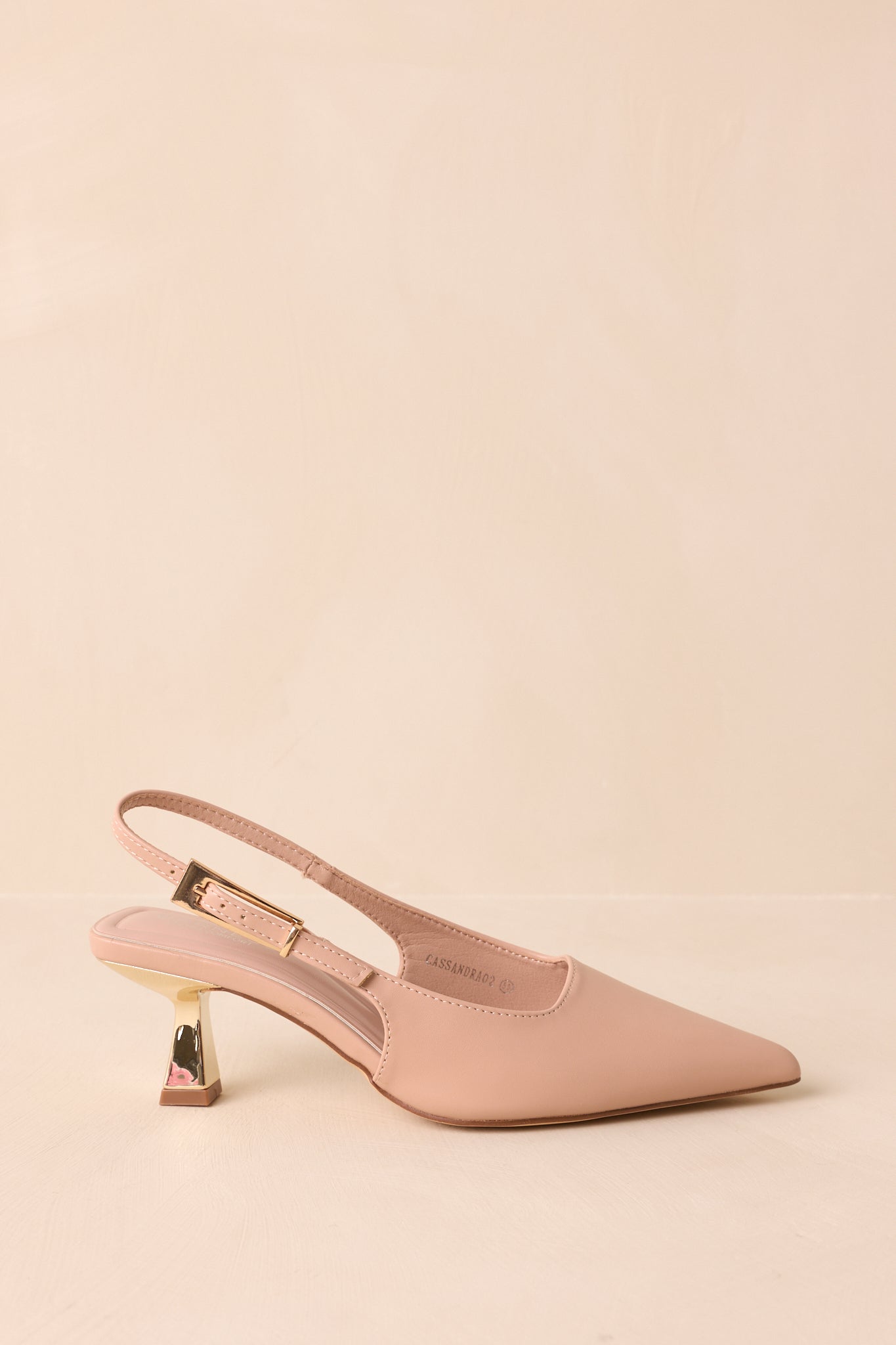 Side view of pointed-toe heels featuring adjustable slingback strap and gold buckle.