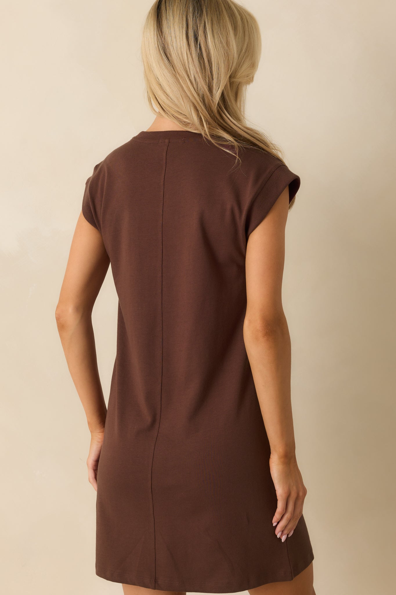 Brown mini dress with rear center seam detail and shift-style finish.