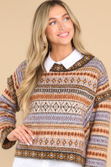Wild Ride Light Brown Multi Sweater