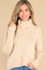 Front view of this sweater that features a high chunky turtle neck.