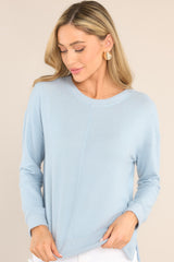 Front view of this top that features a ribbed crew neckline, an exposed seam down the middle, and ribbed cuffed long sleeves.