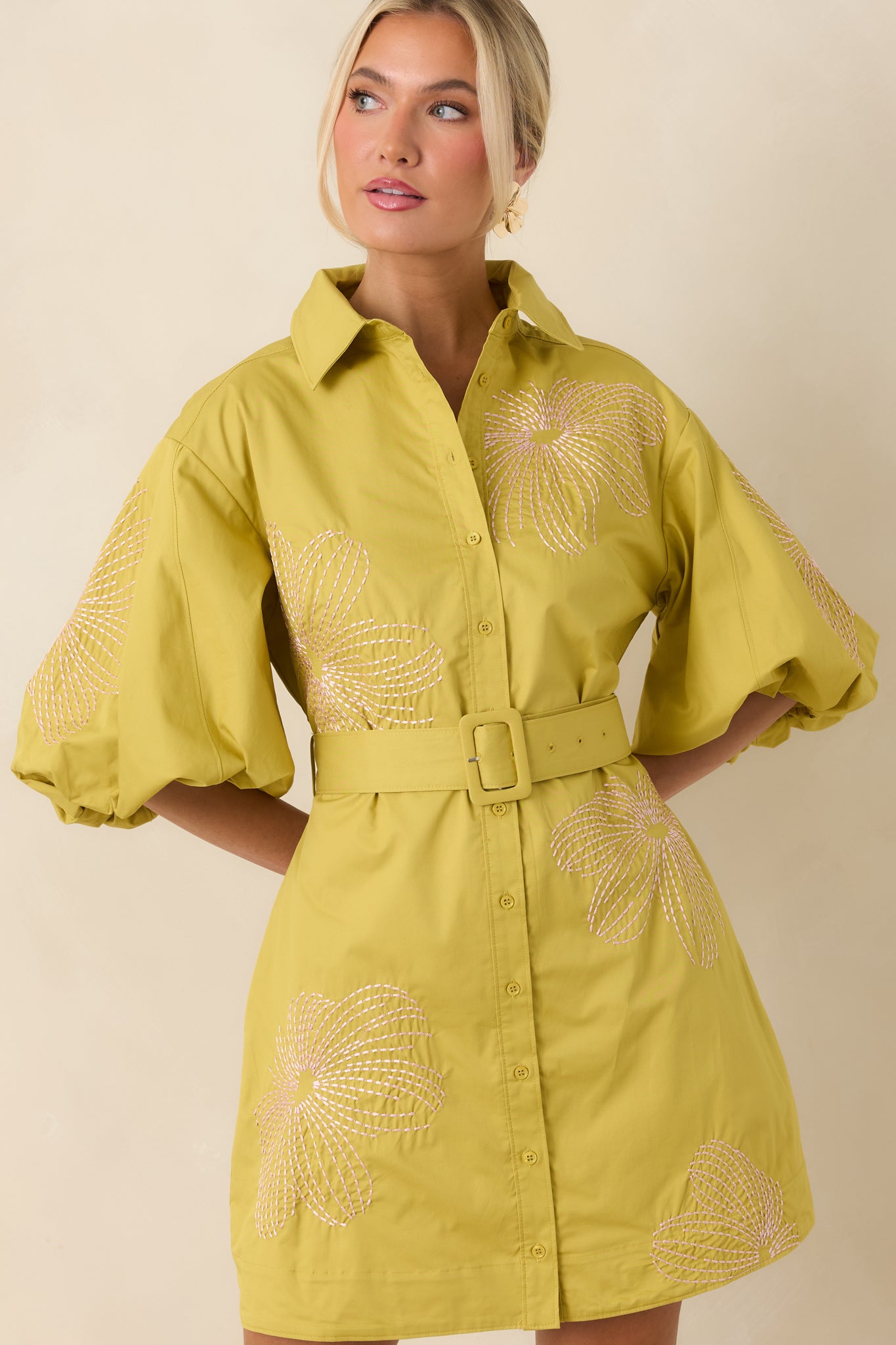 Matching belt detail cinching the waist on embroidered cotton mini dress.