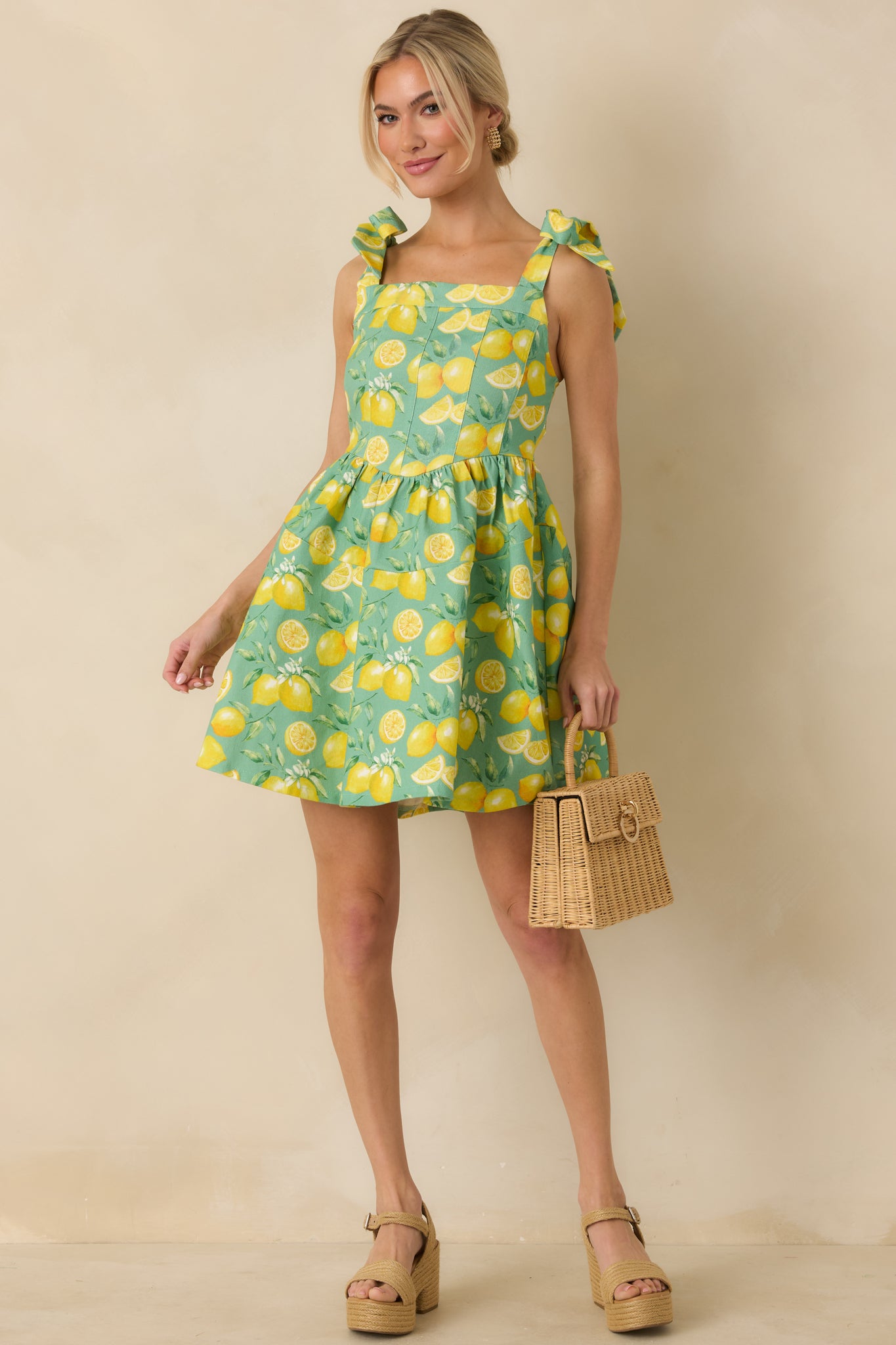 Slightly angled front view showing the paneled bodice and drop waist design.