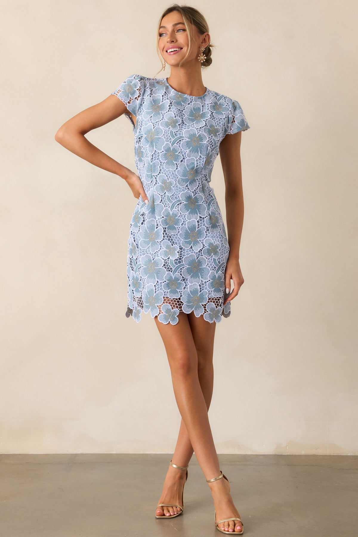 Graceful Grit Floral Embroidered Mini Dress (Light Denim Blue)