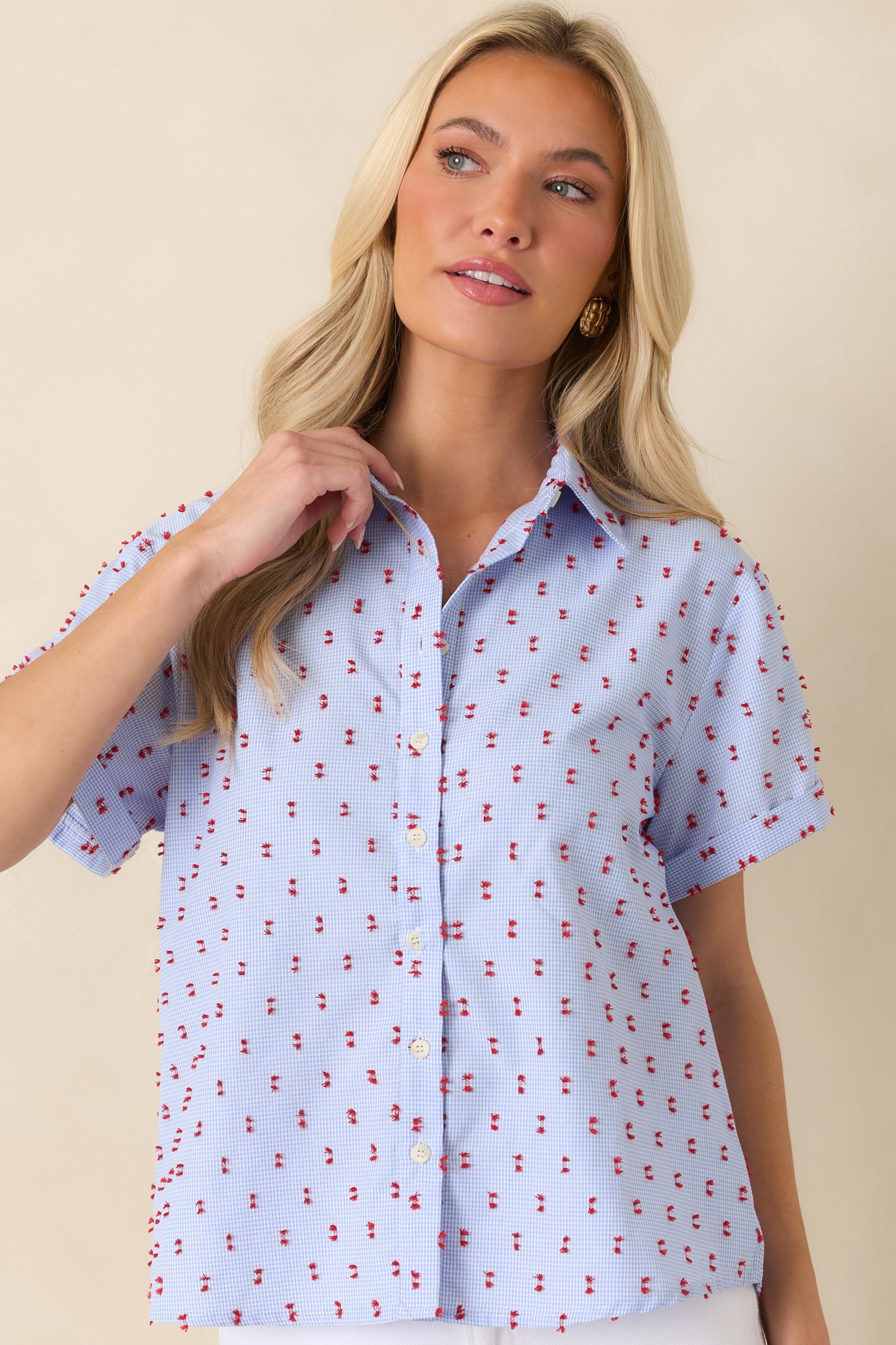 Blue gingham top detail featuring the checkered pattern, front buttons, and decorative red embroidery.