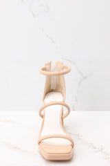 Front view of  these heels that feature a square toe, two straps across the top of the foot with one around the ankle, as well as a block heel and a zipper at the back of the ankle.