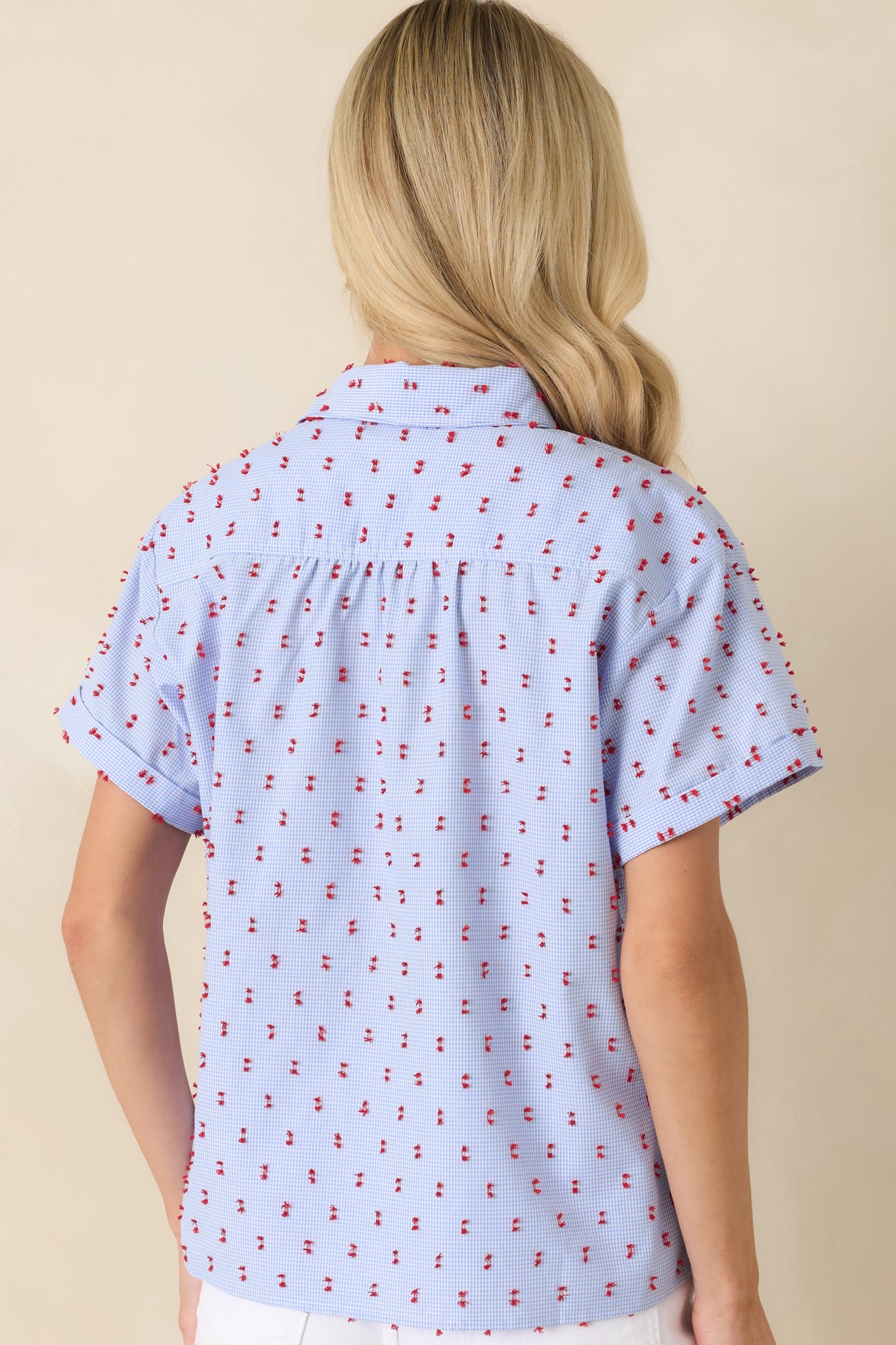 Rear view of the blue gingham top featuring a relaxed silhouette, short sleeves, and embroidered detailing across the fabric.