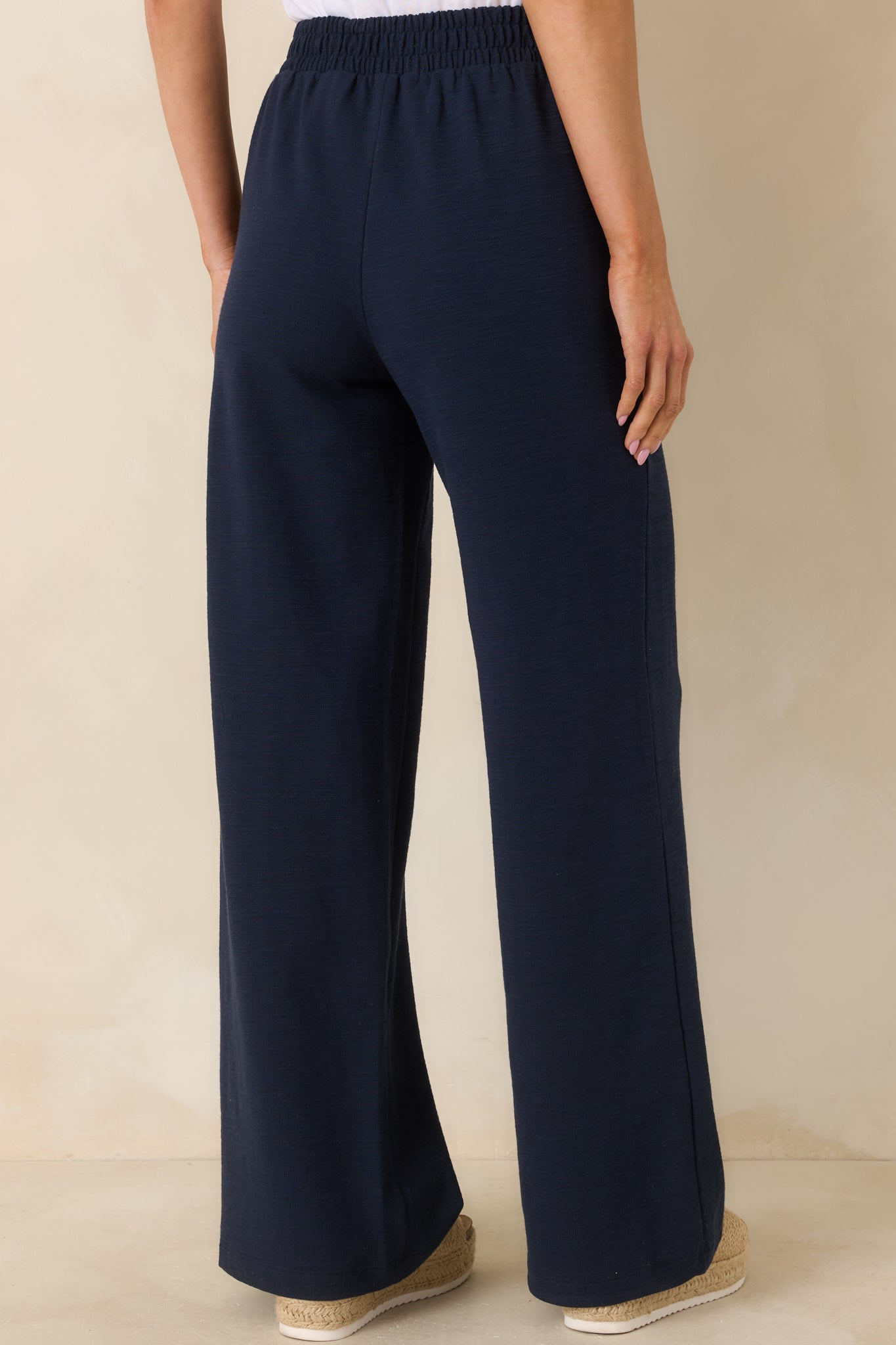 Back view of the navy wide-leg pants showing the high-rise waistband and smooth full-length silhouette.