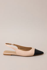 Full side view of these flats that feature a pointed toe, a color block design, and non adjustable strap.