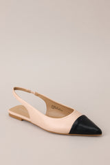 Outer-side view of these flats that feature a pointed toe, a color block design, and non adjustable strap.