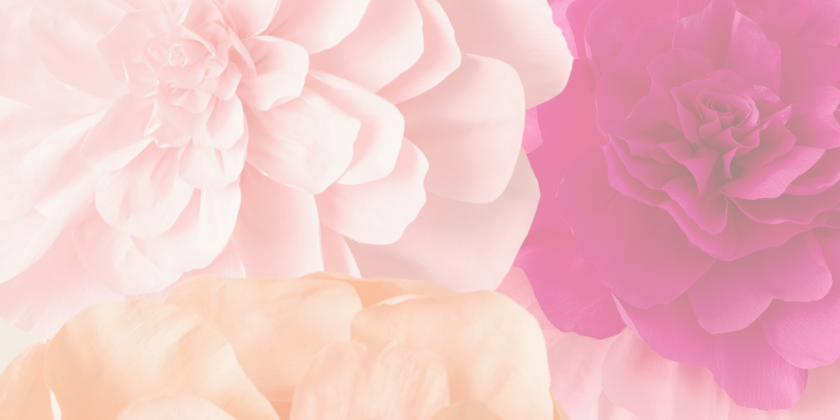 Pink and peach flowers on a soft pink background