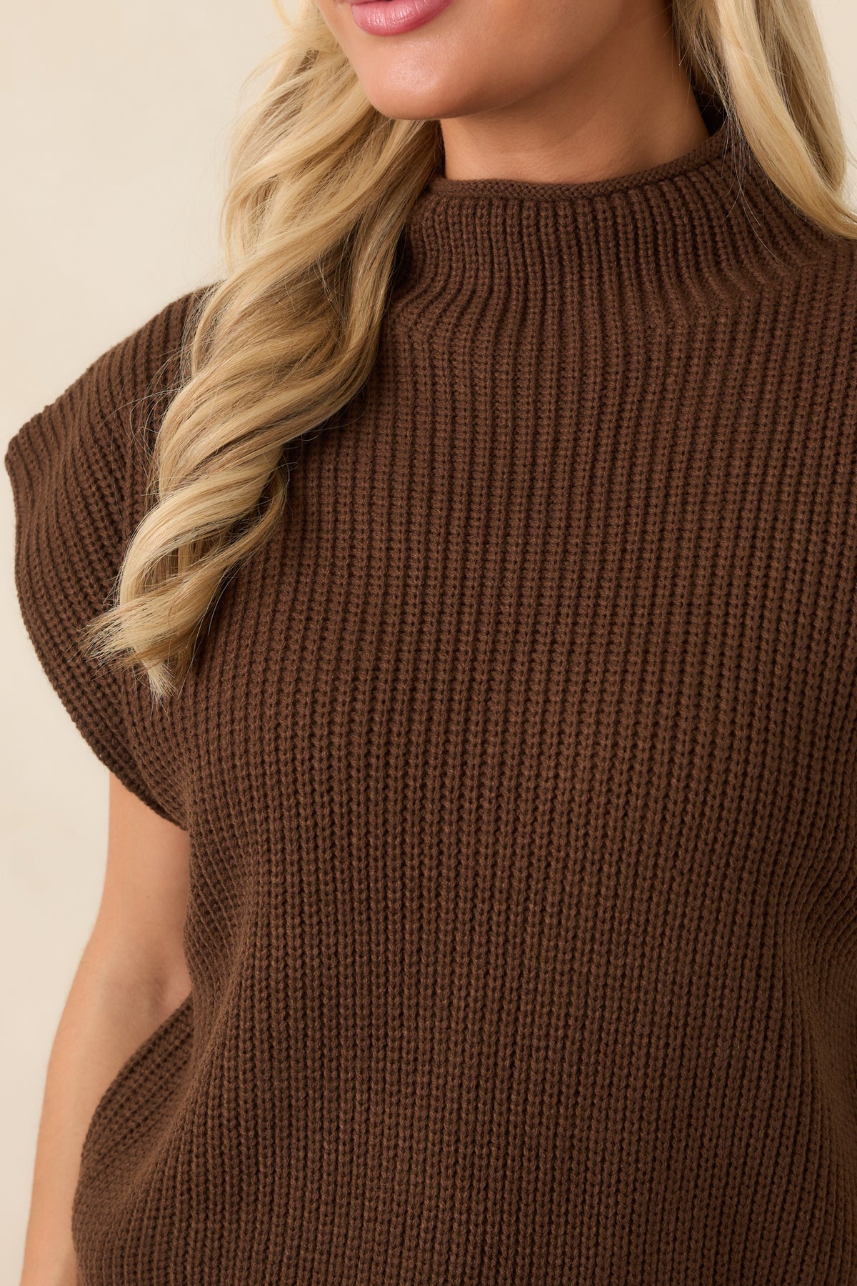 En Saison Jane Brown Mock Neck Sweater Vest