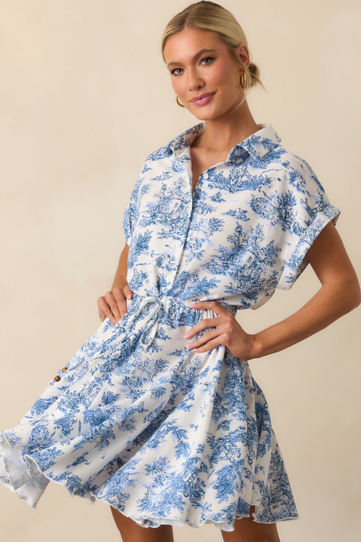 Blue & White Toile Mini Dress