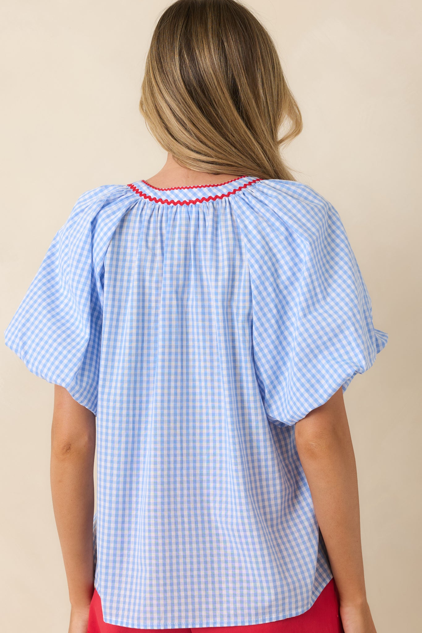 Red Dress | Light Blue Gingham Embroidered Cotton Top - All Tops