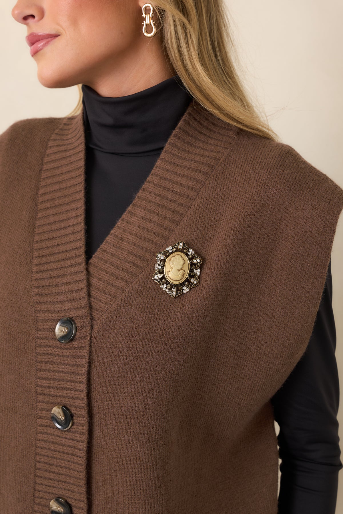 Well Versed Brown Knit Sweater Vest