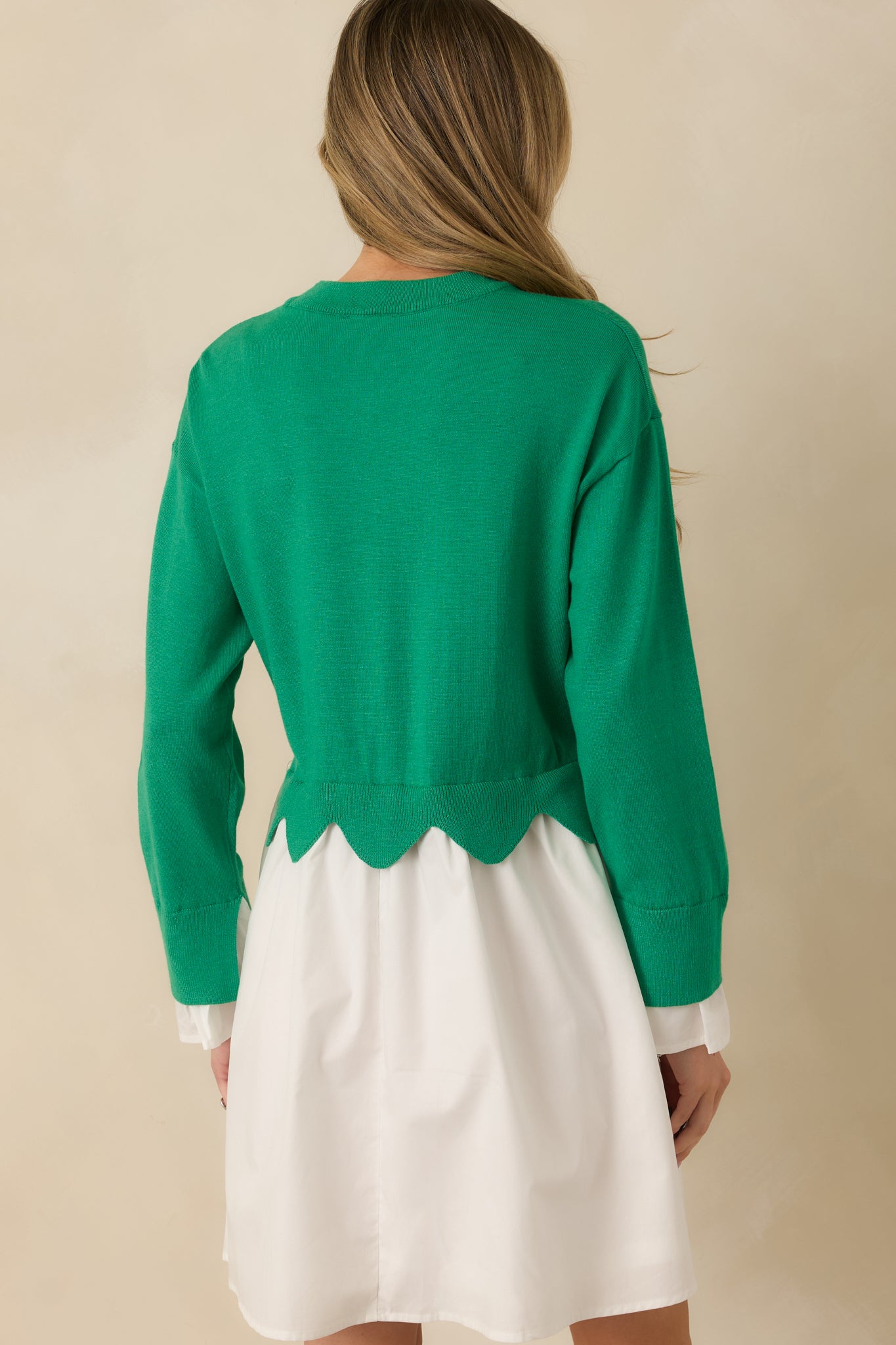 Back view of a green and white mini dress featuring a knit sweater bodice, long sleeves, and a lightweight woven skirt.