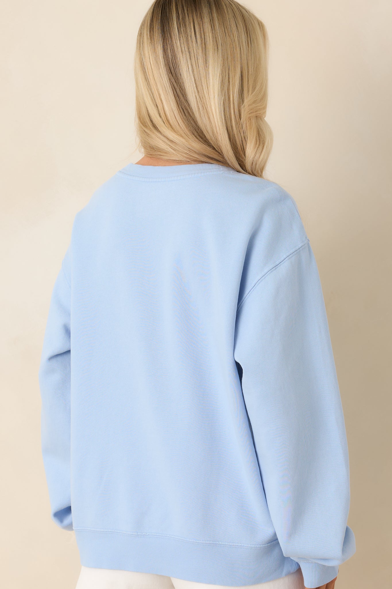 Back view of the light blue pullover showing the relaxed boyfriend silhouette and ribbed hem without graphic details.