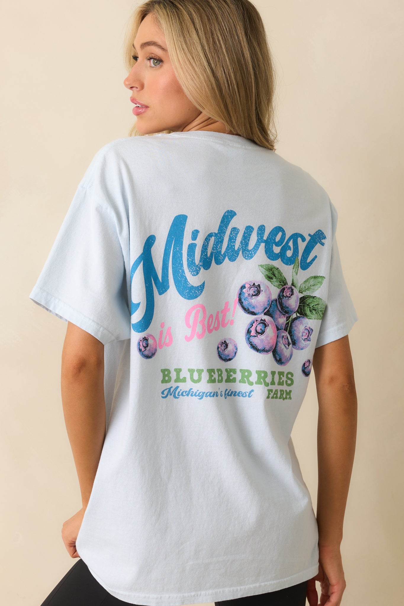 Midwest Is Best Blueberry Graphic Tee In Sky Blue Cotton | Red Dress