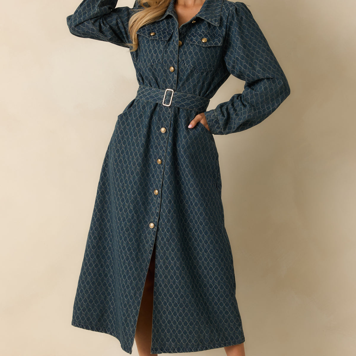 denim button down dress with collar Short Sleeve Collared Button Down Front Detail Mini Dress In Mid Blue Denim | EGO US