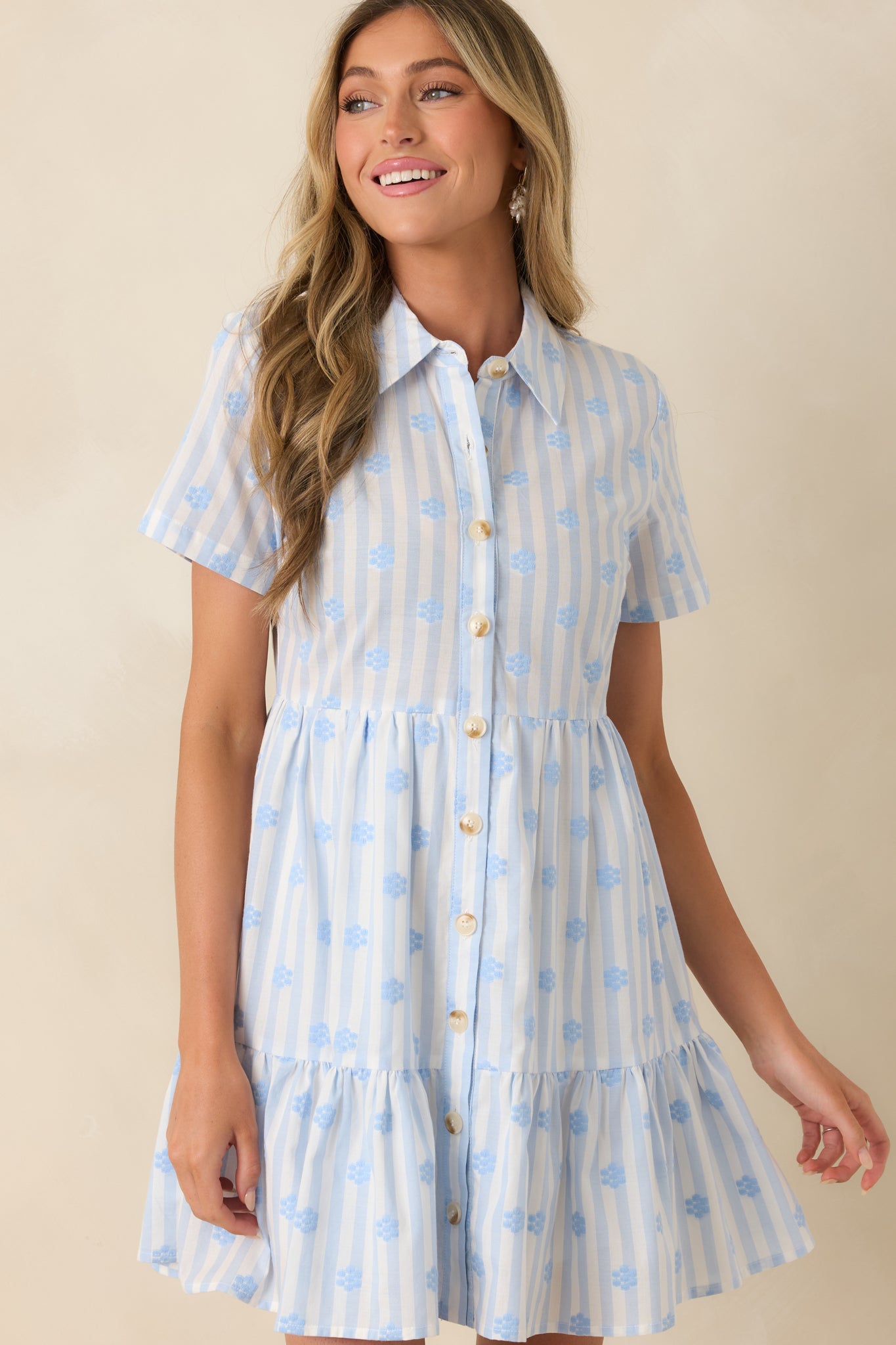 Blue stripe cotton mini dress close view featuring intricate floral embroidery, short sleeves, and classic button front details.