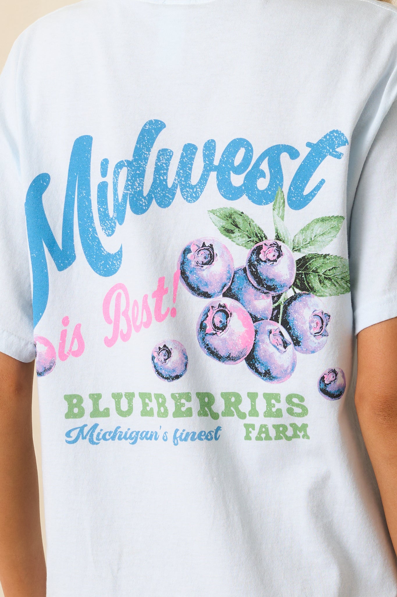 Midwest Is Best Blueberry Graphic Tee In Sky Blue Cotton | Red Dress