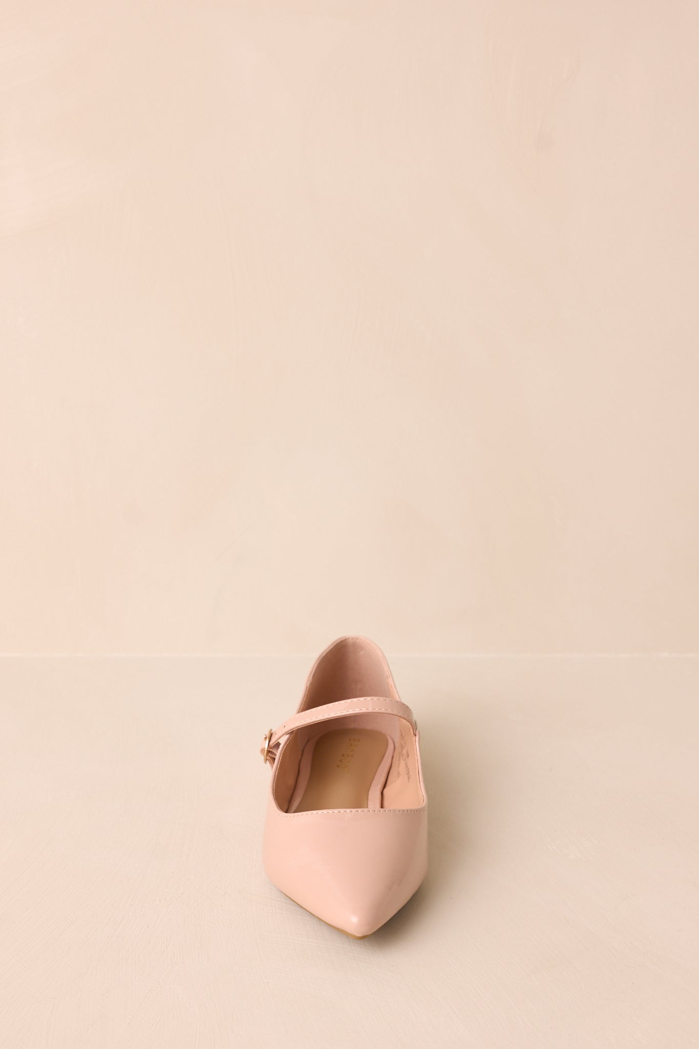 Front view of beige flats with a pointed toe, featuring a simple buckle across the foot strap for added detail.