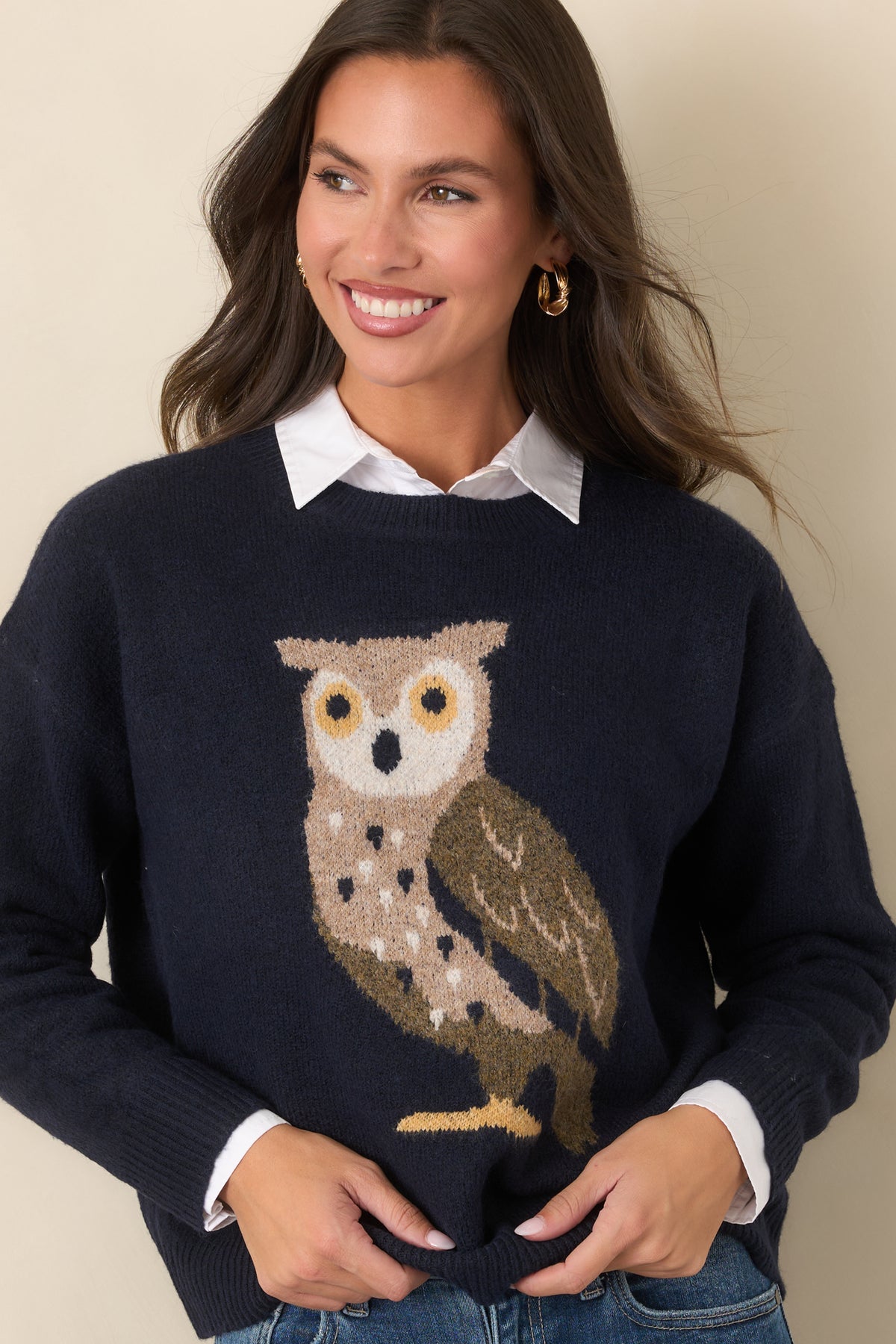 Navy sweater showcasing its dropped shoulders, long sleeves, and colorful owl motif across the front.