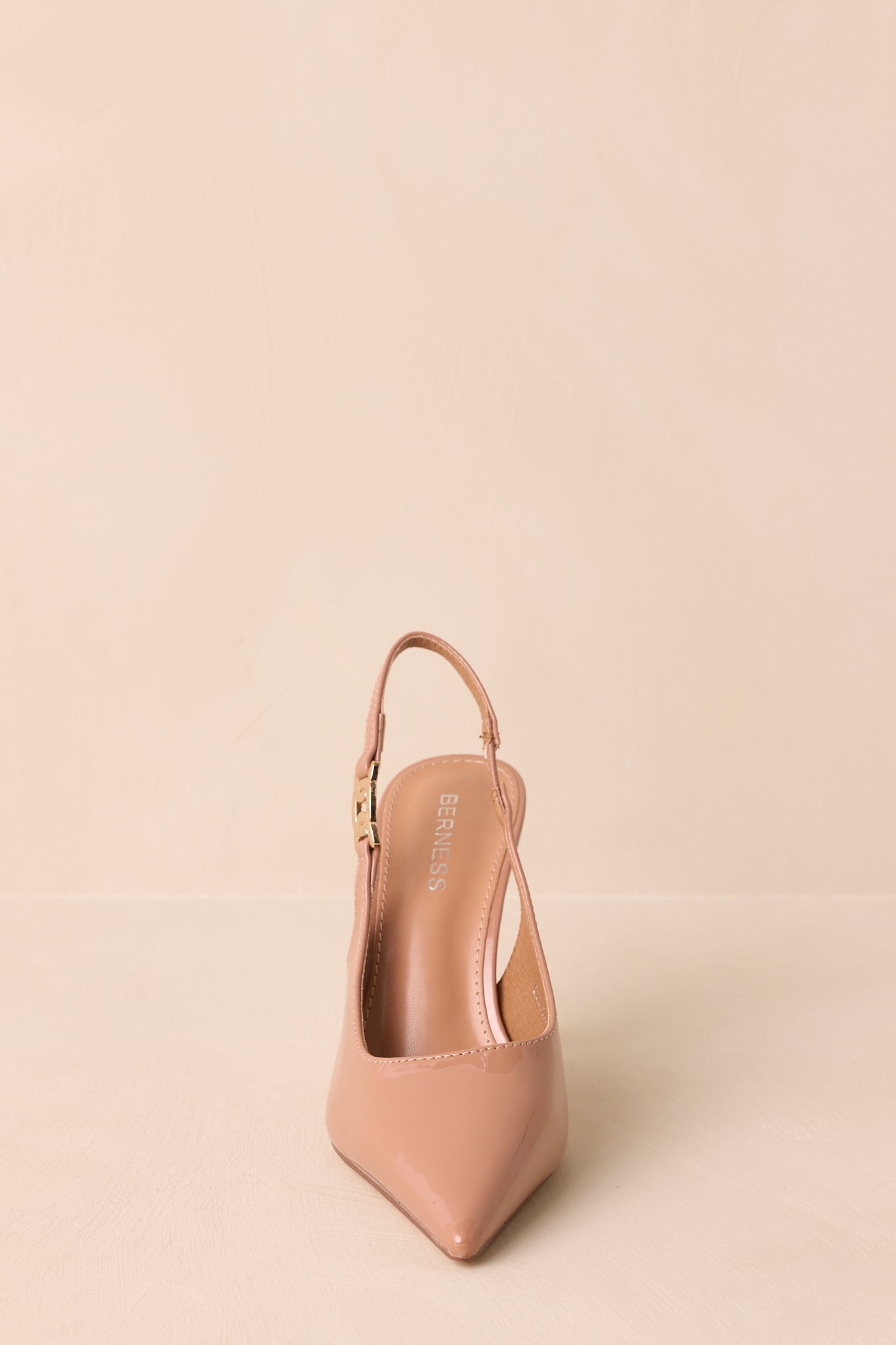 A straight-on front shot showing the pointed toe shape and slingback strap design.