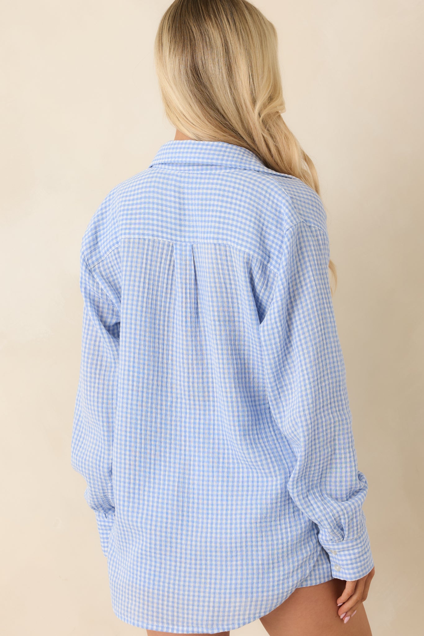 Z Supply Ice Blue Cotton Classic Gingham Top | Red Dress