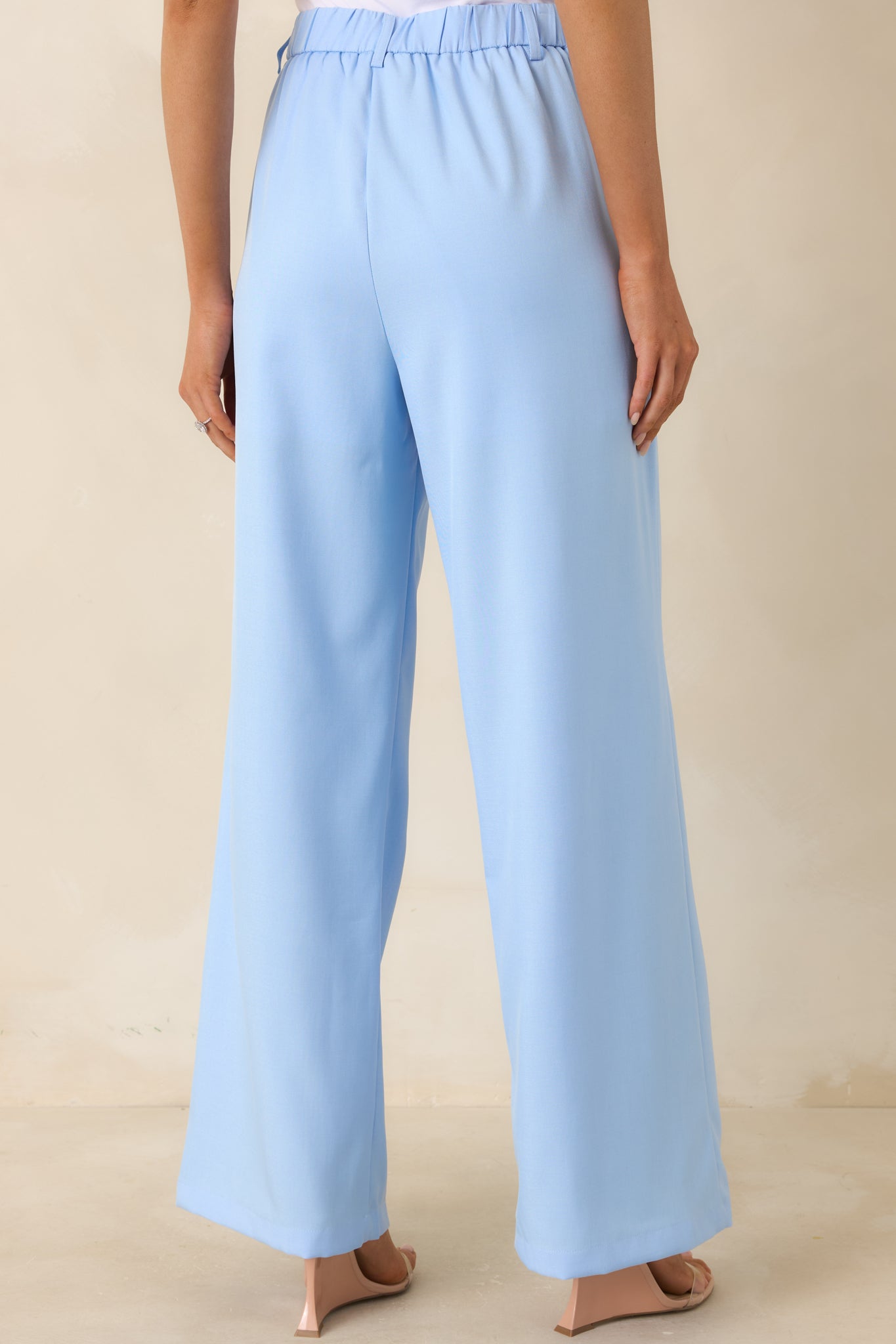 Rear view of wide-leg trousers with structured pleats and polished silhouette.