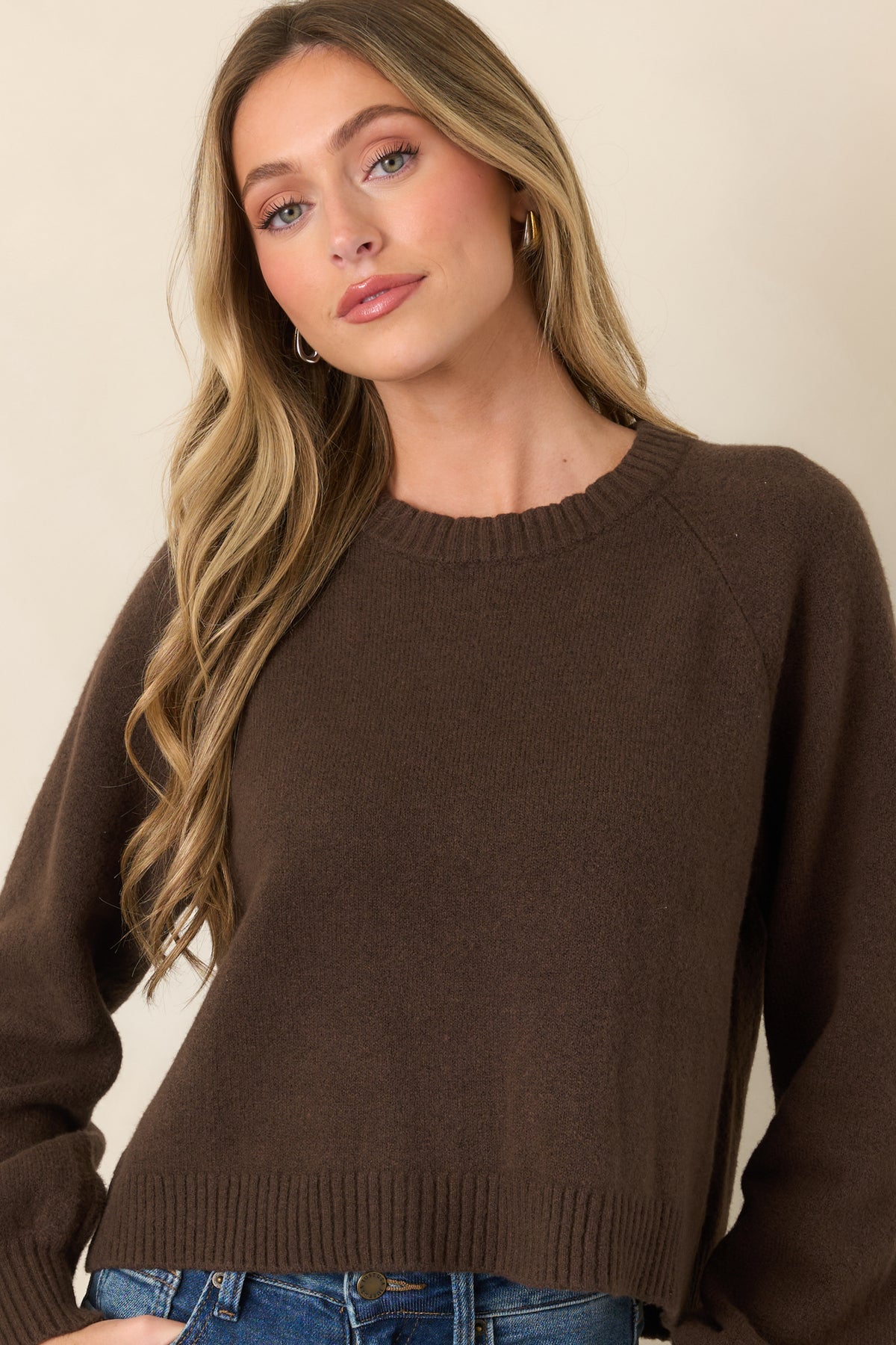 Rich brown knit fabric showcases the ribbed crew neckline and softly gathered shape of the long raglan sleeves.