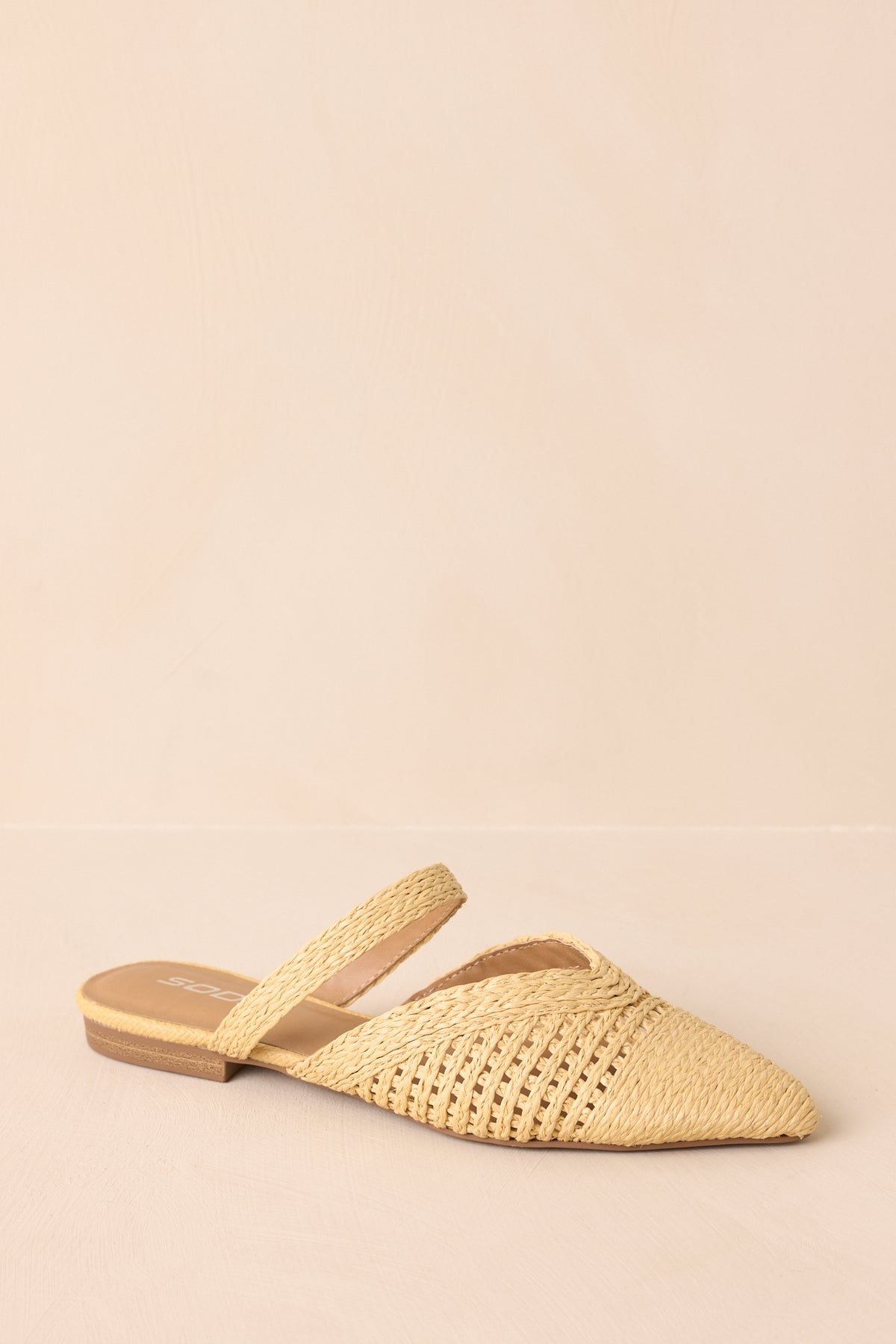 The Marcie Raffia Pointed Toe Mule