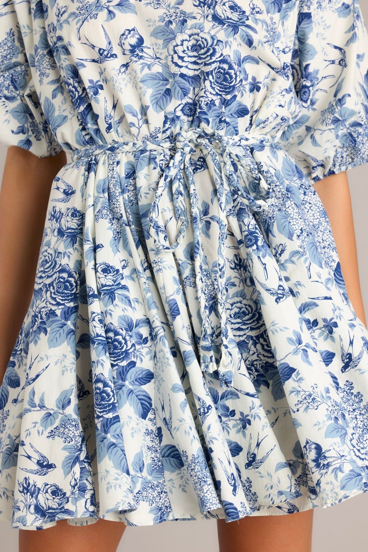 Ivory & Blue Floral Mini Dress