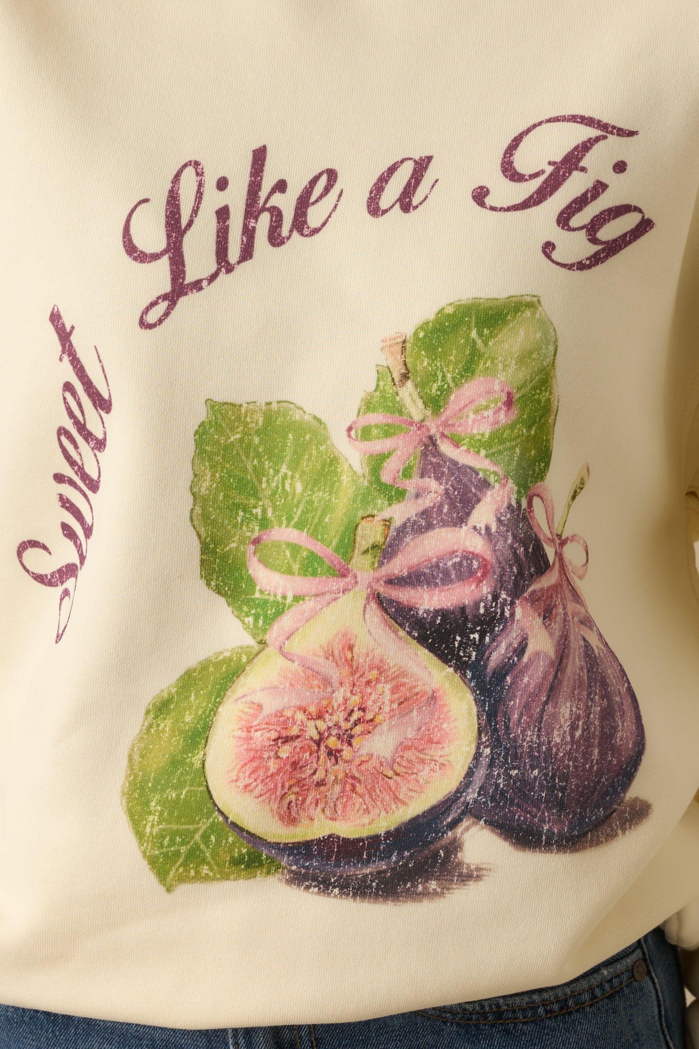 Detailed close-up of ivory sweatshirt graphic with fig motifs and textured cotton fabric.