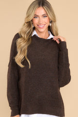 This all brown mock neck sweater features bold seam detailing, a ribbed hem and cuffs, and a soft, knit material. 